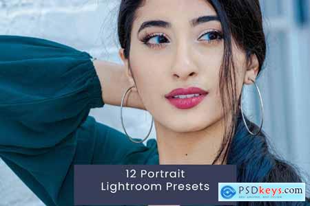 12 Portrait Lightroom Presets