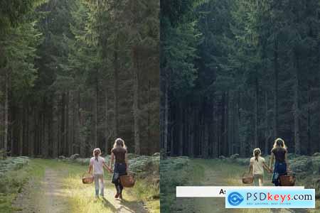 20 Cinematic Greens Lightroom Presets and LUTs