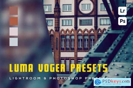 6 Luma Voger presets Lightroom Presets