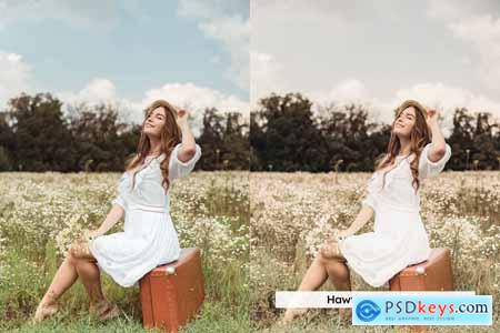 20 Soft Cottagecore Lightroom Presets and LUTs