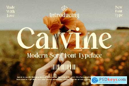 Calvine - Modern Serif Font Typeface