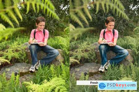 20 Back to School Lightroom Presets & LUTs