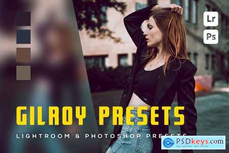 6 Gilroy Presets Lightroom and Photoshop Presets