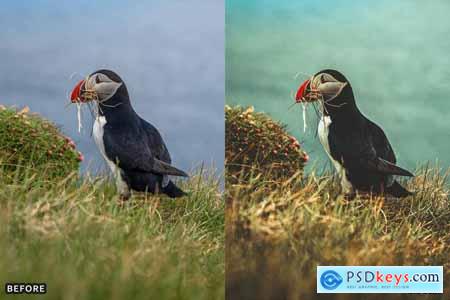 Bird Photography Wildlife Lightroom Presets