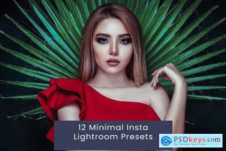 12 Minimal Insta Lightroom Presets