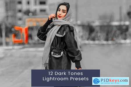 12 Dark Tones Lightroom Presets