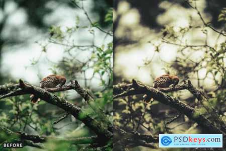 Bird Photography Wildlife Lightroom Presets