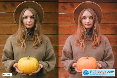 12 Pumpkin Lightroom Presets