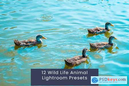 12 Wild Life Animal Lightroom Presets