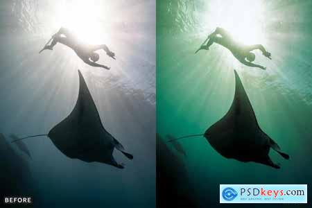 Scuba Diving Lightroom Presets Pack