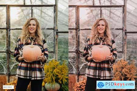 12 Pumpkin Lightroom Presets