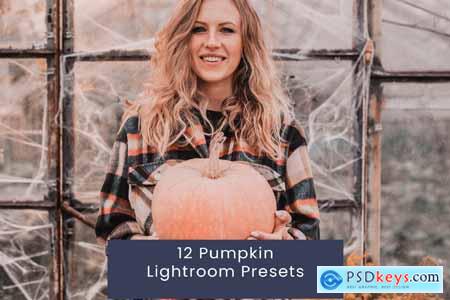 12 Pumpkin Lightroom Presets