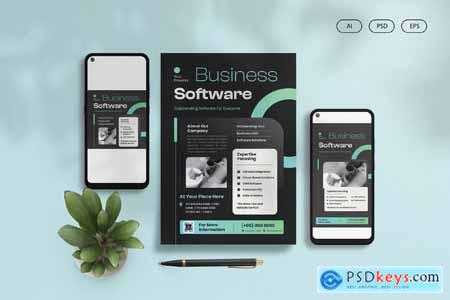 Business Software Flyer