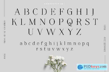 Askilon  Beautiful Serif Font