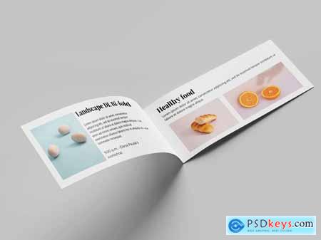 Dl Bi-Fold Brochure Mockup