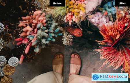 6 Sandalwood Lightroom and Photoshop Presets