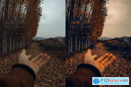 Cinematic Autumn Fall Lightroom Presets