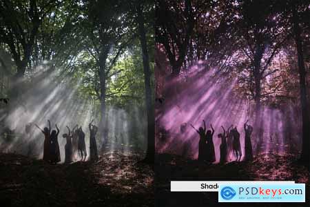 20 Wicked Purple Lightroom Presets and LUTs