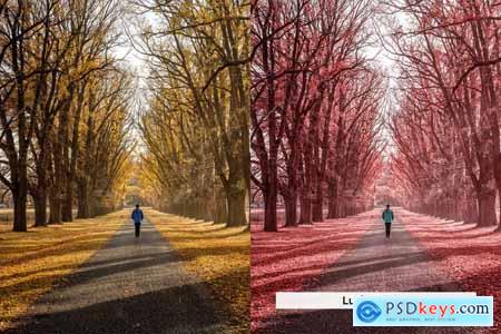 20 Aero Autumn Lightroom Presets and LUTs