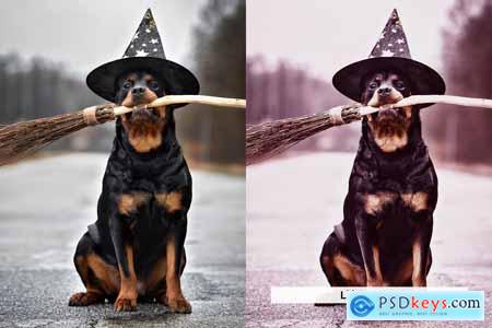 20 Wicked Purple Lightroom Presets and LUTs