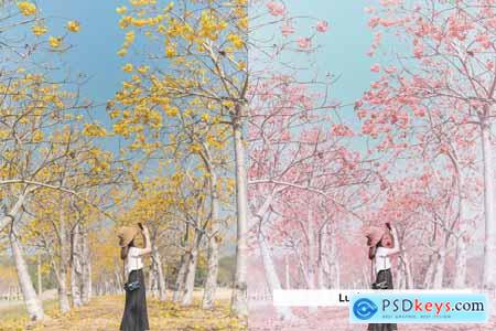 20 Aero Autumn Lightroom Presets and LUTs