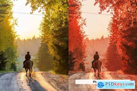 20 Aero Autumn Lightroom Presets and LUTs