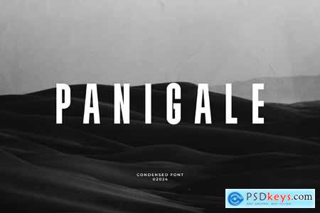 Panigale - Condensed Font