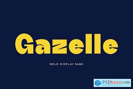 Gazelle - Bold Display