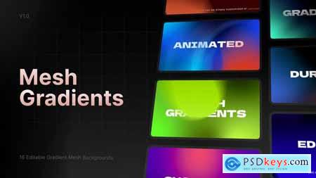 Animated Mesh Gradients 54939003