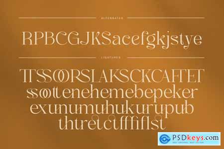 Caster - Elegant Luxury Serif Style