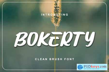 Bokerty - New Brushed Font