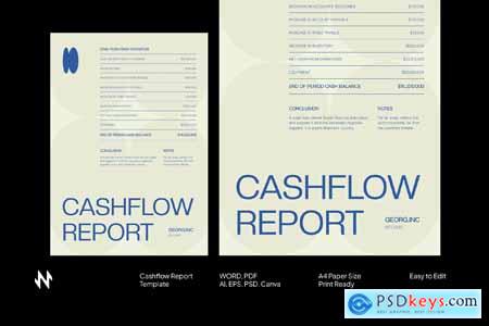 Modern Swiss Cashflow Report