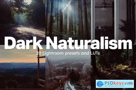 20 Dark Naturalism Lightroom Presets and LUTs