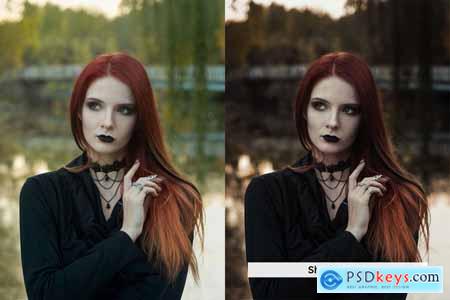 20 Gothic Lightroom Presets and LUTs