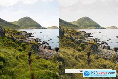 20 Greenery Lightroom Presets and LUTs