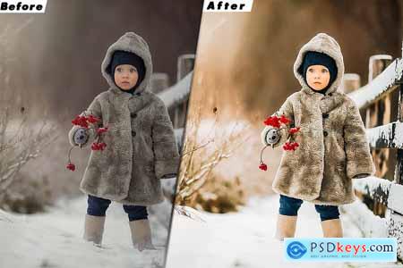 Winter Time Presets And luts Video Premiere Pro