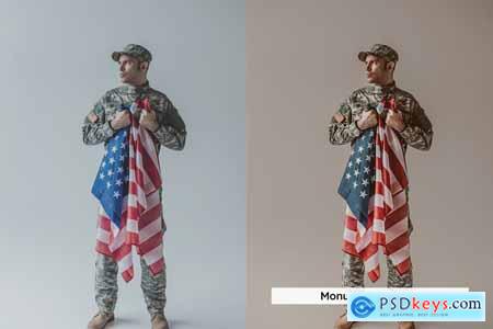 20 Veterans Lightroom Presets and LUTs