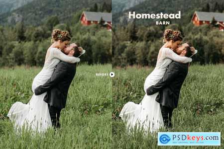 Homestead Wedding Lightroom Presets