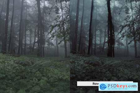 20 Dark Naturalism Lightroom Presets and LUTs