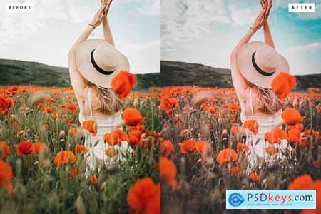 Colorful Bloom Lightroom Presets