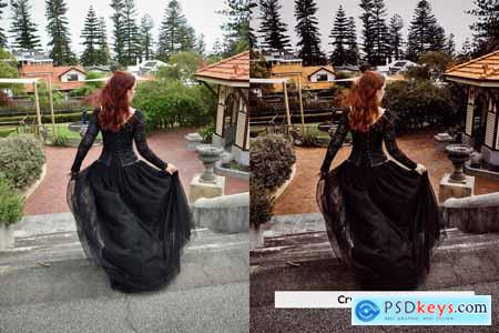 20 Gothic Lightroom Presets and LUTs