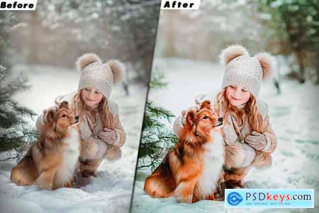 Winter Time Presets And luts Video Premiere Pro