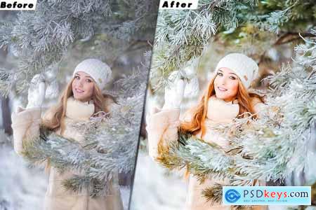 Winter Time Presets And luts Video Premiere Pro