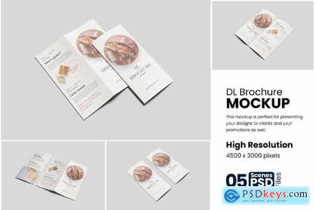 DL Brochure Mockup