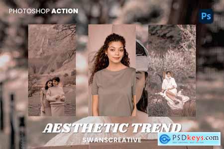 Aesthetic Trend Photoshop Action