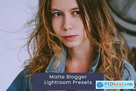 Matte Blogger Lightroom Presets