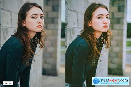 Matte Blogger Lightroom Presets