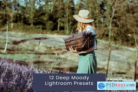 12 Deep Moody Lightroom Presets