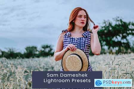 Sam Dameshek Lightroom Presets