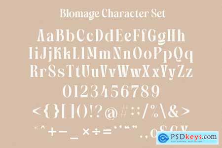 Blomage - Bold Serif Font